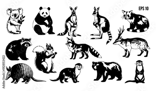 Artistic Watercolor Wildlife Mammal Vector Illustration Collection