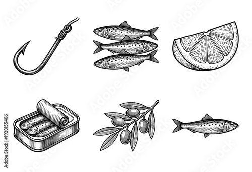Vintage engraving style set of seafood and mediterranean ingredients including sardines, olive branch, lemon wedge, and fishing hook.