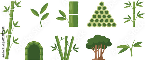 Bamboo forest vector collection, green flat design bamboo stalks leaves tree and zen elements isolated on white background