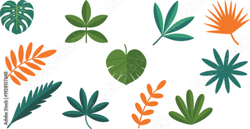 Tropical leaves vector set, colorful flat botanical foliage collection isolated on white background for nature design illustration