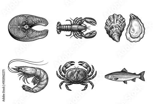 Set of monochrome seafood engravings including salmon steak, lobster, oysters, shrimp, crab, and whole fish in vintage woodcut style