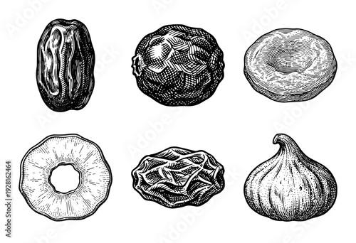 Set of various dried fruits in vintage woodcut engraving style including dates, figs, apricots, and raisins isolated on white.