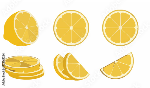 Citrus lemon slices vector set with whole half wedge and cross section isolated on white background EPS 10
Keywords: