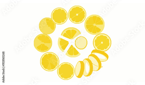 Citrus lemon slice outline vector icon set modern line art fruit collection EPS 10 isolated