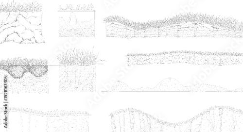 Cross section diagrams illustrating various soil layers and grass root systems in a simplified line style
