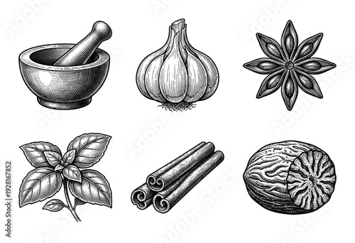 Set of hand drawn vintage woodcut illustrations featuring aromatic kitchen herbs and spices including garlic cinnamon and star anise in a classic engraving style.