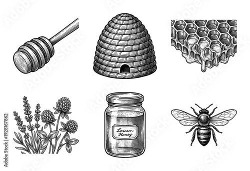 Vintage engraving style honey and beekeeping collection featuring a beehive skep, honeycomb, worker bee, wildflowers, honey jar, and wooden dipper.