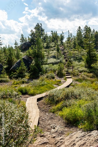 Fotografie A wooden path leading through the mountain forest