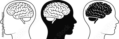 Human brain inside head silhouette anatomy psychology intelligence concept illustration set