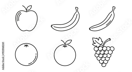 Fresh Fruit Illustrations Apple Banana Grapes.