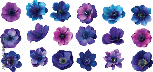 set of violet flowers
