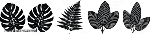 Collection of tropical monstera and fern leaf silhouettes in black isolated on white background minimalist botanical vector illustration