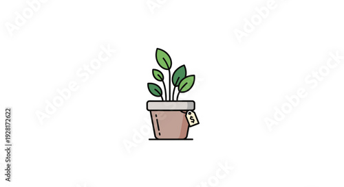 Small plant in a pot indoors.