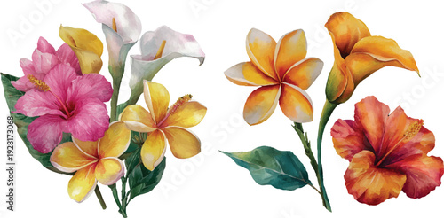 watercolor flowers watercolor painting