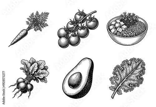 Vintage woodcut illustration collection of fresh vegetables and healthy salad bowl featuring avocado kale and cherry tomatoes