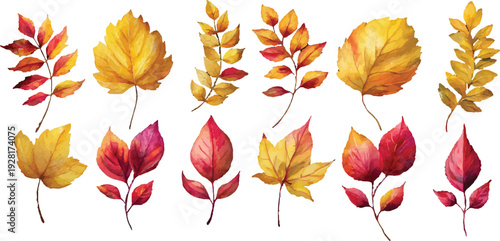 autumn leaves vector illustration
