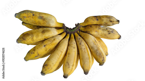 Wallpaper Mural A bunch of ripe yellow bananas isolated on a transparent background. Fresh tropical fruit with a natural texture, a healthy organic food concept, a farming and nutrition theme. Torontodigital.ca
