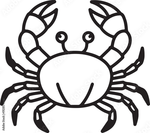 crab, marine, ocean, aquatic, shellfish, seafood, sea, beach, coastal, wildlife, nature, animal, claw,