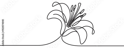 One continuous black line art drawing of a beautiful lily flower in a minimalist and elegant style, showcasing the delicate petals and stamens of the botanical bloom