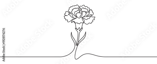 Single continuous line drawing of a carnation flower with a stem and leaves, created in a minimalist, elegant, and simple artistic style for a modern design concept