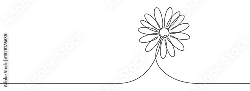Single continuous line drawing of a daisy flower with delicate petals in a minimalist art style, creating an elegant and simple floral illustration for a wide panoramic format