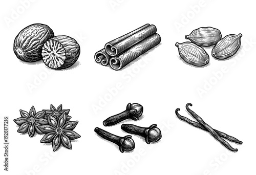 Vintage style engraving collection of aromatic culinary spices including nutmeg cinnamon cardamom star anise cloves and vanilla beans