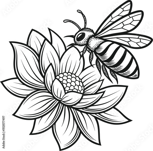 Bee and flower line drawing vector showing pollination with detailed wings, petals, and natural ecosystem design