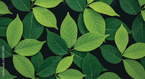Green Leaves Pattern on Black Background