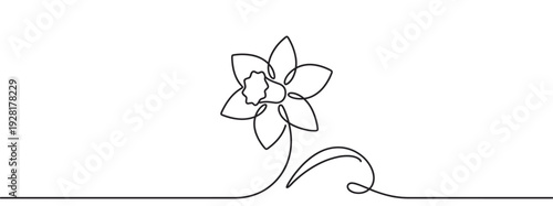 Single continuous line drawing of a daffodil flower in a minimalist style, showcasing an elegant and simple floral illustration with a flowing, unbroken black outline