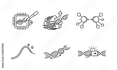 Line style icons of epigenetic reprogramming elements: marker-removal chip, chromatin-outline lift, regulatory-node pair,