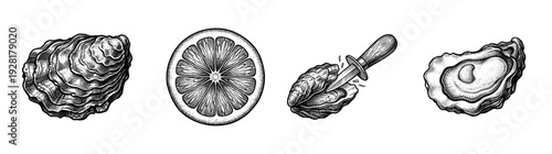 Set of vintage monochrome engravings featuring fresh oysters and a citrus lemon slice with shucking knife tool.