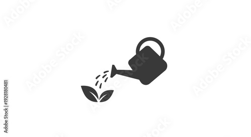 Watering Can Pouring on Small Plant.