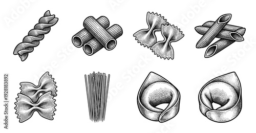 Vintage style engraving collection of various dry pasta shapes including fusilli penne rigatoni farfalle spaghetti and tortellini illustrations.