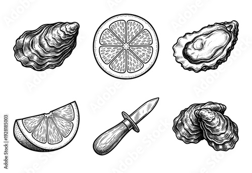 Set of vintage engraved illustrations featuring fresh oysters, lemon slices, and a shucking knife in a hand-drawn woodcut style.