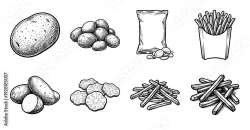 Collection of hand drawn potato sketches including whole tubers, sliced pieces, crunchy chips in a bag, and various styles of french fries in a vintage woodcut style.