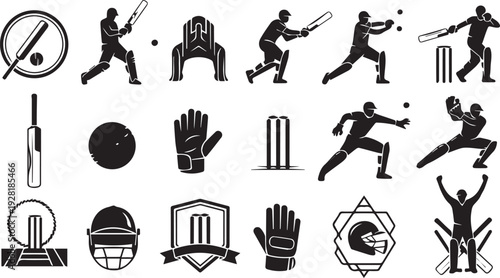 Professional Cricket Player and Equipment Icon Collection