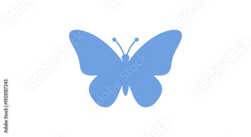 Blue Butterfly Wings Spread Wide Open.