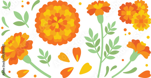 Marigold flower set with blooming blossoms leaves and petals decorative floral collection for wedding invitation festival and botanical design projects.
