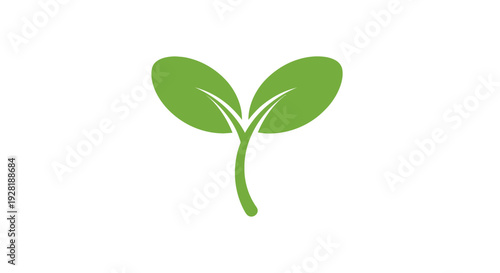Green Seedling with Two Leaves Illustration.