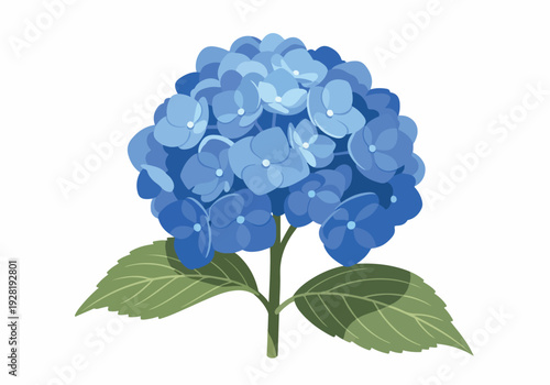 A vibrant illustration of a cluster of blue hydrangea flowers with green leaves on a white background
