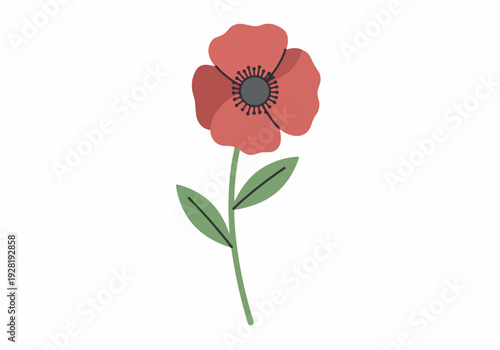 A single red poppy with a black center and green stem and leaves against a white background, symbolizing remembrance and peace, often associated with Armistice Day or Remembrance Day