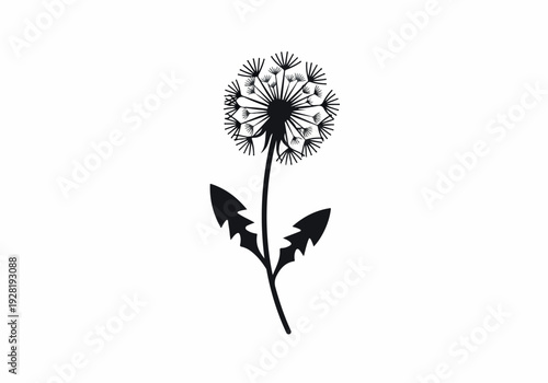 A whimsical black and white illustration of a dandelion seed head with leaves on a stem, perfect for adding a touch of natural elegance and simplicity to designs