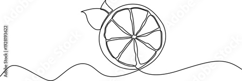 WebMinimalist One-Line Drawing of Citrus Fruit Slice with Leaves