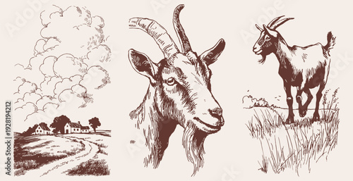 Vintage farm goat and rural landscape set. Illustration for agriculture branding and packaging. Pencil drawn sketch style with countryside animals, village houses, and pastoral scenes.