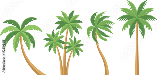 Tropical palm tree collection with curved trunks and lush green leaves beach island plant set for summer travel vacation and paradise design.