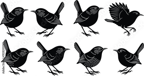 Vector illustration of bird silhouettes in various poses, perched and flying designs, ornithology artwork, decorative nature icons, black and white graphic