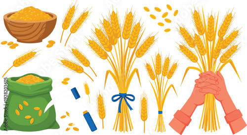 Wheat Harvest Collection with Grain Ears, Seeds, Flour Bowl and Farmer Hands Holding Sheaf Vector Illustration Set