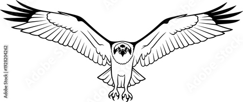 osprey silhouette line art
