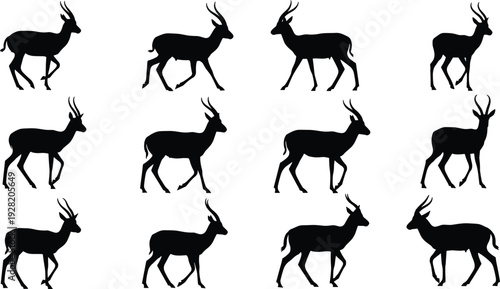Black silhouette collection of wild gazelle and antelope standing and walking in various poses isolated on white background for design