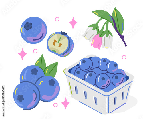 Whole and half cut blueberry fruit with flowers. Fresh berries vector illustration.